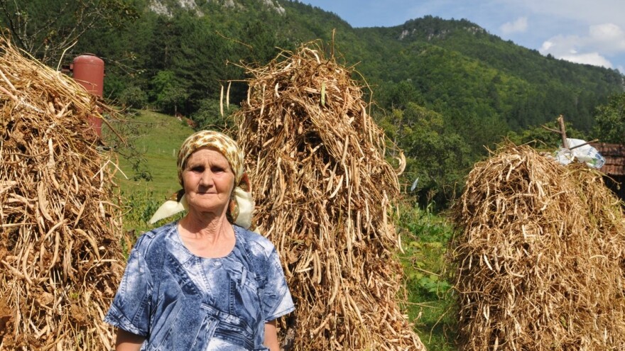 Milojka Joksimović: Bez pasulja nema seoskog domaćinstva