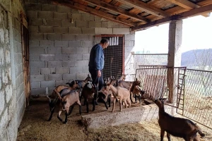 Mesto gde su idealni uslovi za organsku proizvodnju kozjeg mleka i mesa?