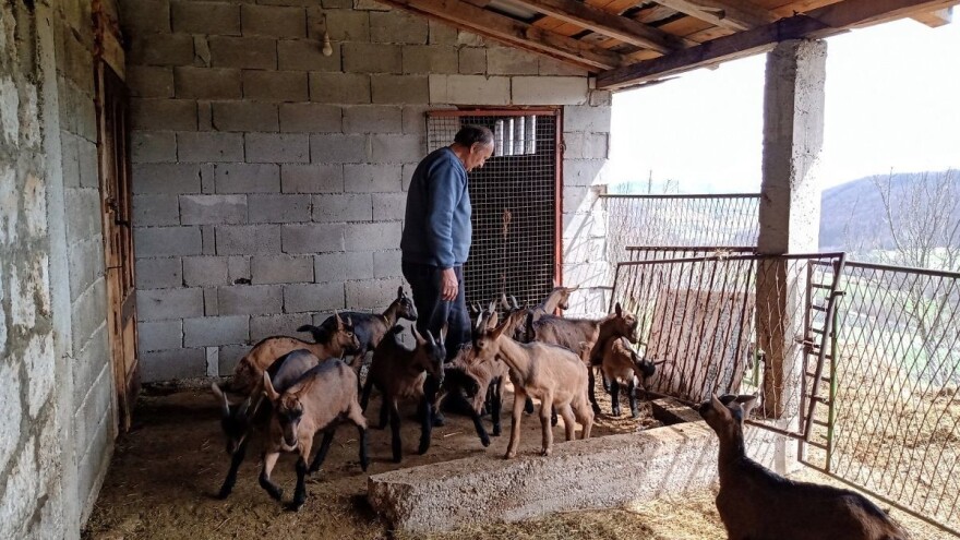 Mesto gde su idealni uslovi za organsku proizvodnju kozjeg mleka i mesa?