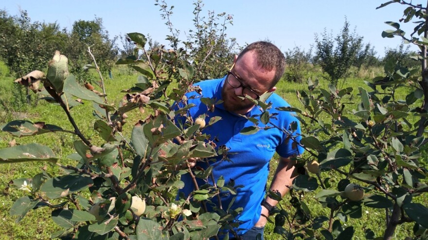 Koje su mere opreza za poljoprivrednike u primarnoj voćarskoj proizvodnji?