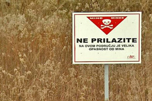 Do 2015. poljoprivredne površine u Slavoniji bez mina