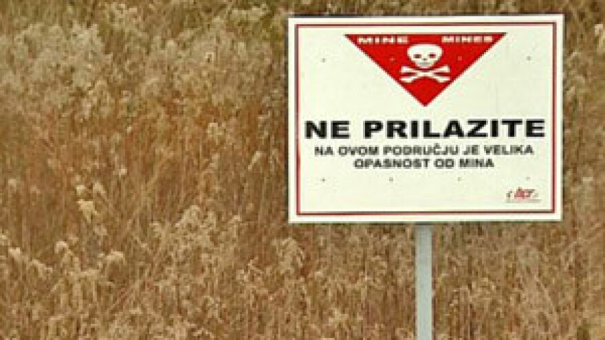 Do 2015. poljoprivredne površine u Slavoniji bez mina