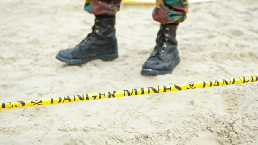 40 milijuna kuna za razminiranje šuma