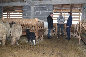 Iznos potpora za poljoprivredu u ovoj godini veći za milion KM?