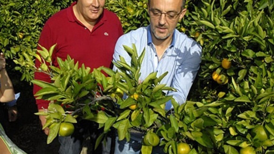 Je li izostala potpora voćarima?