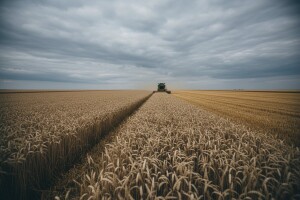 Ministar Jakovina: Kriv je Čobanković