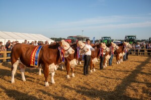 Ministar Jakovina otvara 21. bjelovarski sajam