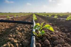 Ministar Tihomir Jakovina u posjetu Izraelu