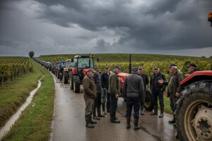 Ministarstvo spremno pomoći vinogradarima