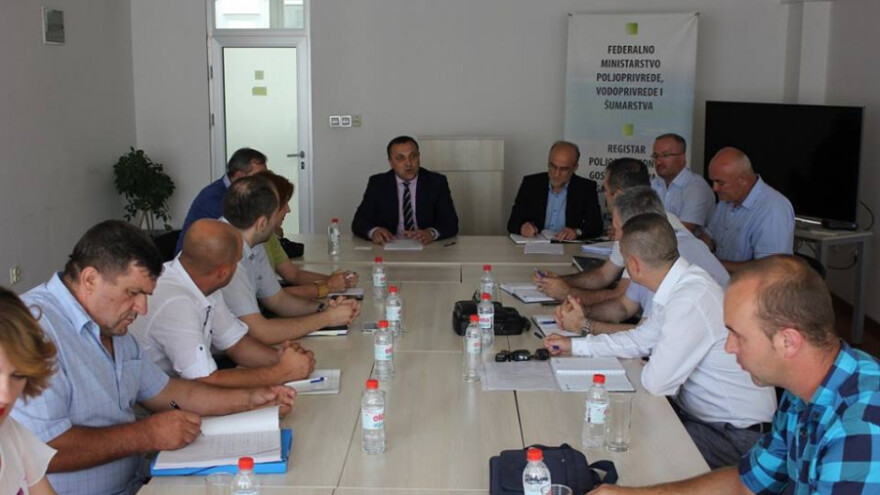 Malinarstvo će imati ozbiljnu perspektivu