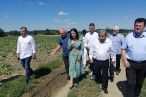 Teški prizori na poljima: Šteta od tuče na varaždinskom području i do sto posto