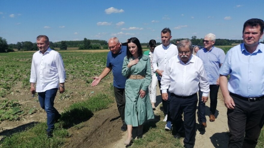 Teški prizori na poljima: Šteta od tuče na varaždinskom području i do sto posto