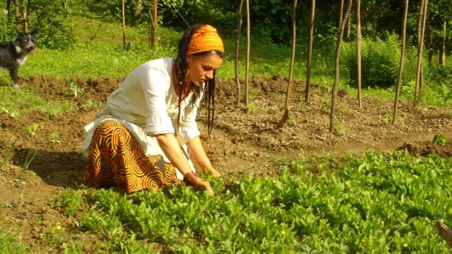U Mirelinoj "Vještičjoj kuhinjici" sve se reciklira, čak i voda!