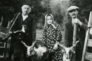 Zaboravljeno stočarenje Velebita