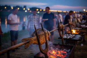 Mirisi ribljih specijaliteta u Aljmašu