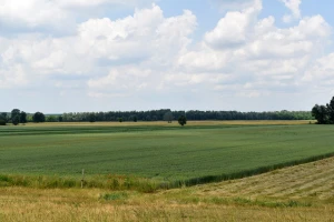 Sutra sunčano i toplo, a u nedjelju opet pljuskovi i grmljavina