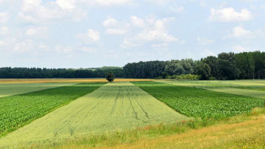 Plodored je posebno važan u vremenima skupog repromaterijala
