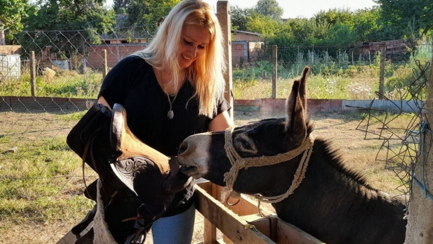 Magarac je bolji čuvar nego pas, zagalami čim neko uđe u dvorište