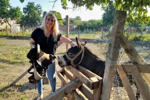 Magarac je bolji čuvar nego pas, obavesti čim neko uđe u dvorište