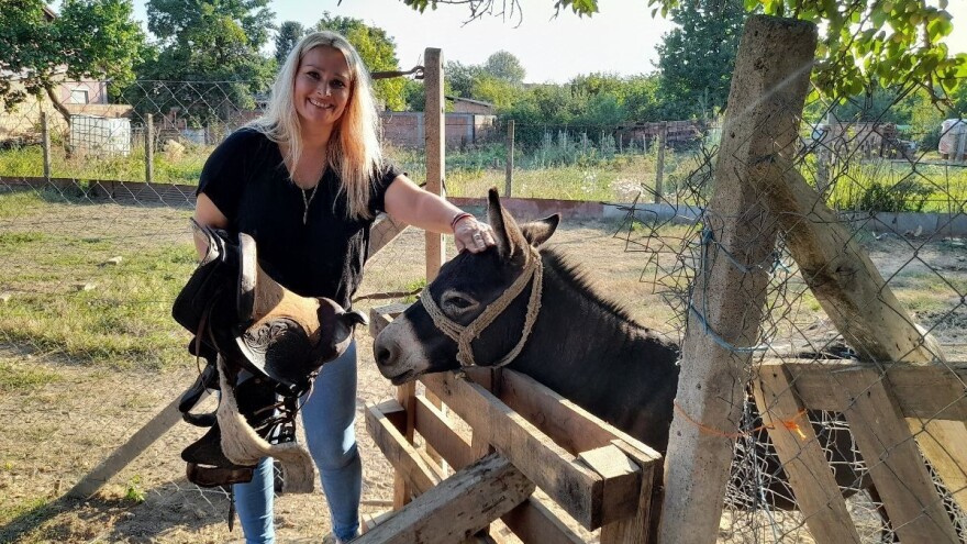 Magarac je bolji čuvar nego pas, obavesti čim neko uđe u dvorište