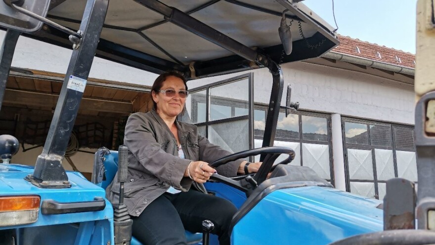 Mirjana Nikolić ore, tanjira, drljači - još samo da savlada kombajn