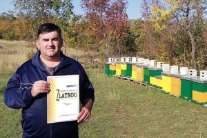 Što se to događa u dalmatinskim pčelinjacima? Proljeće hladno, pčele se roje pa gladne bježe