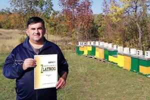 Što se to događa u dalmatinskim pčelinjacima? Proljeće hladno, pčele se roje pa gladne bježe
