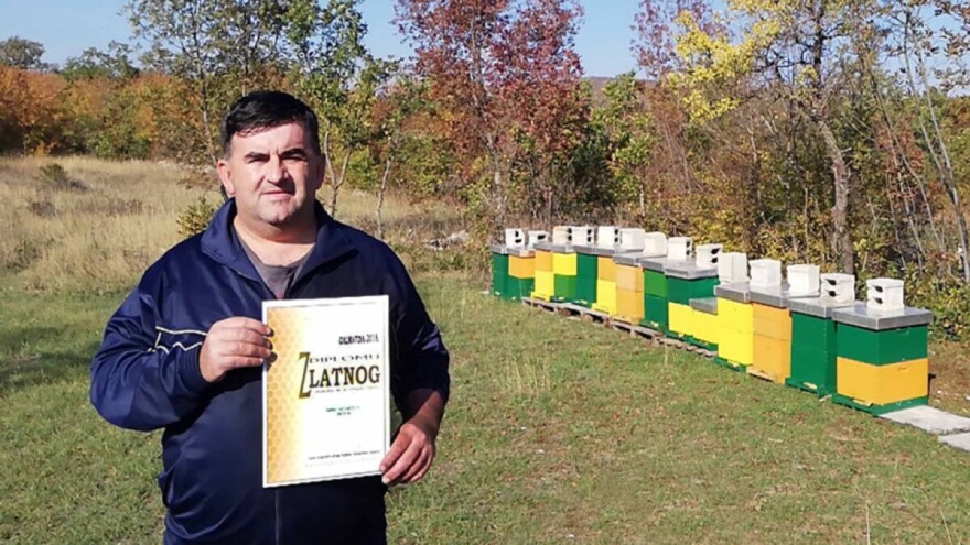 Što se to događa u dalmatinskim pčelinjacima? Proljeće hladno, pčele se roje pa gladne bježe