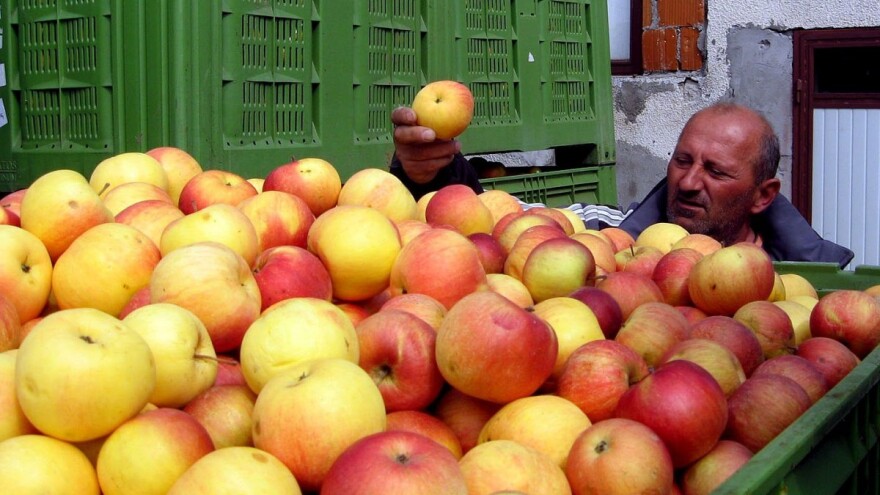 Skuplja prazna nego puna gajba!