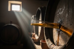 Miroslav Čeme proizveo najbolju šljivovicu