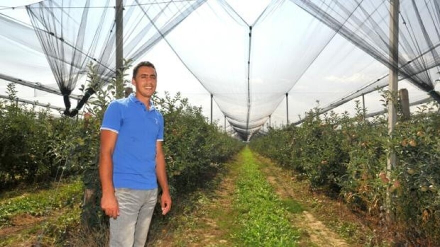 Za protugradnu zaštitu voćnjaka 663 tisuće kuna