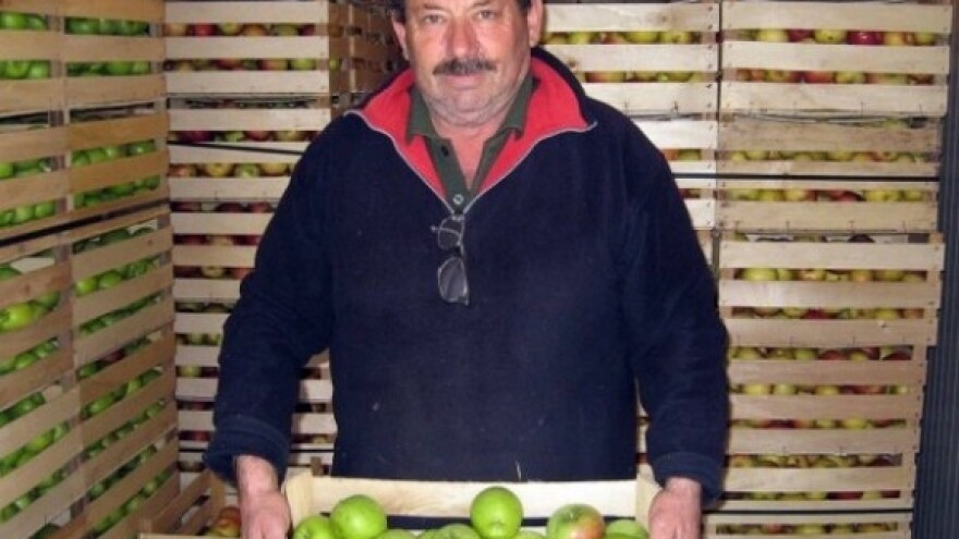 Na jednoj jabuci zarađuje njih šestoro!