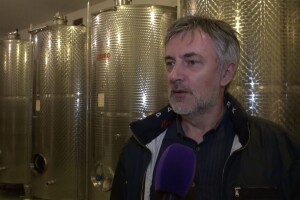 Miroslav Škoro: Vinar sam s jako malim "v", a pjevanje i vino itekako idu ruku pod ruku