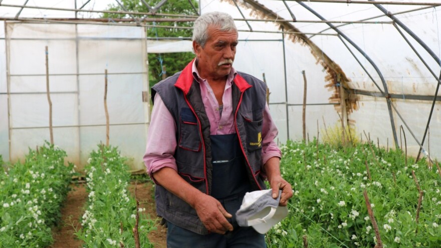 Od građevine mu ostala još samo kapa - veća zarada u poljoprivredi