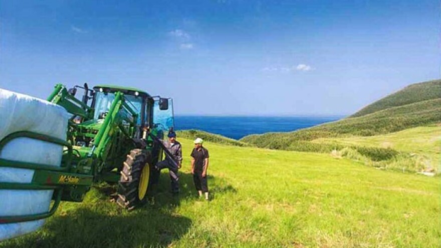 Hrvati i Srbi žele naseliti japansko selo!