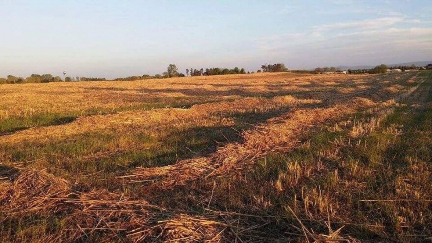 BiH dobila prvi institut za razvoj poljoprivrede