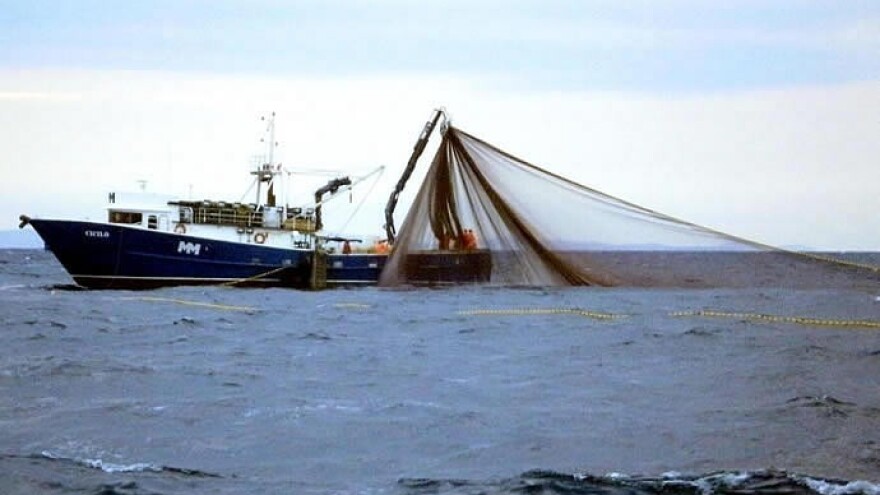 Za izgradnju i opremanje objekta za preradu ribe 9 milijuna kuna