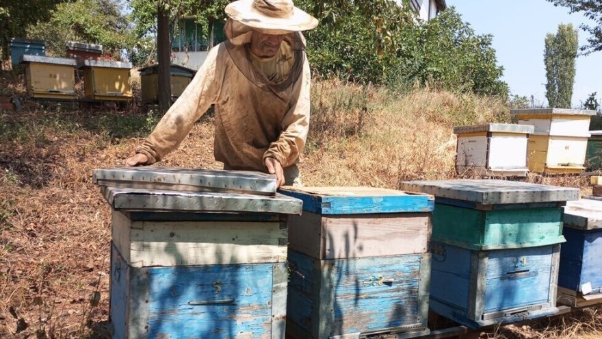 Kako iskusni pčelar Jovica Mitić suzbija varou? Ljutom paprikom!