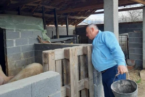 Profesor koji obrađuje zemlju, ima voćnjak, drži krmače, a stiže i da piše pesme