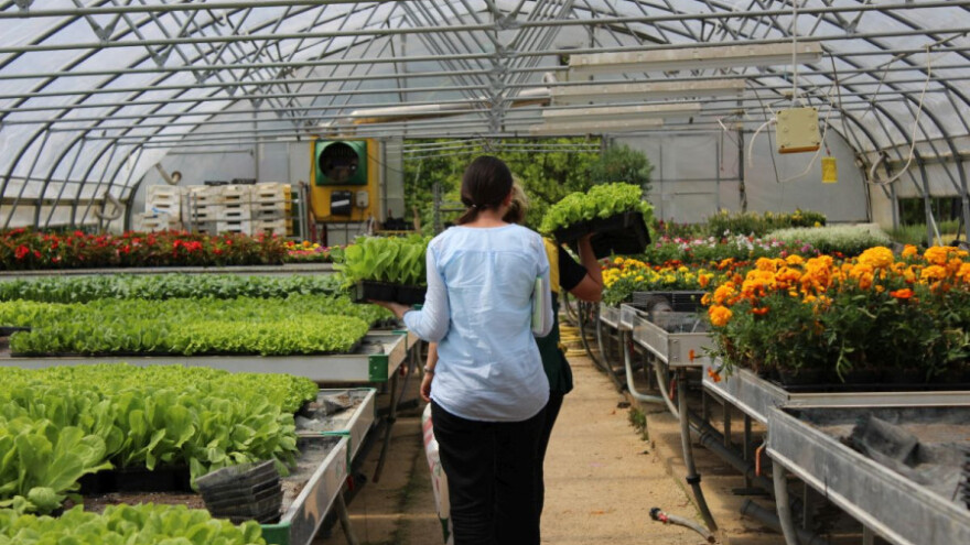 Odgađa se raspisivanje natječaja za Mjeru 3