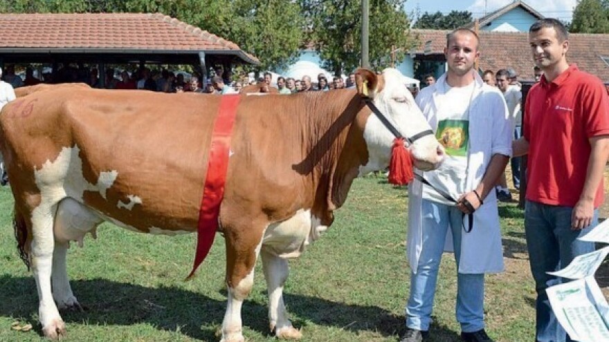 Prve isplate projekata iz Mjere 4!