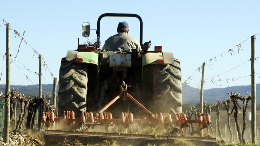 544 OPG-a želi ulagati u fizičku imovinu!