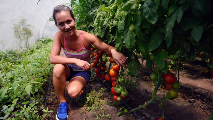 Odluke za voćare i povrćare operacije 4.1.1.