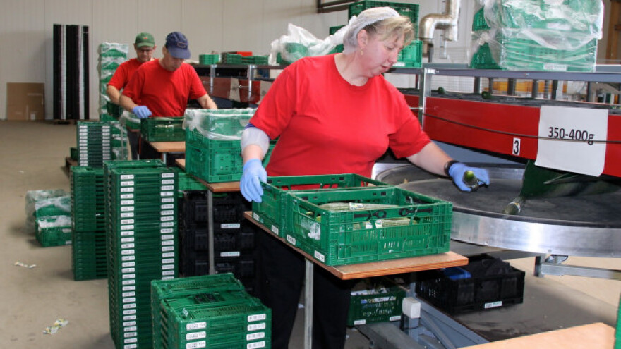 U izradi Pravilnik o provođenju Mjere 4