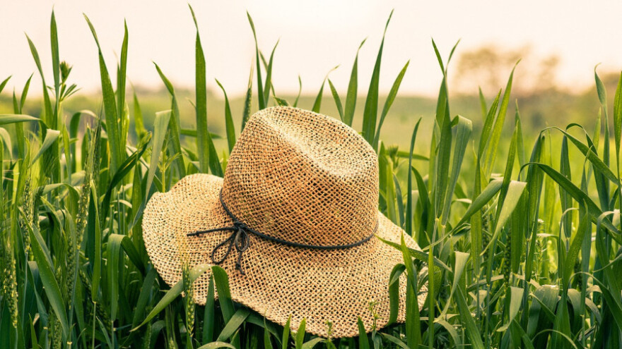 Produljen rok za prijavu na operaciju 4.1.1.