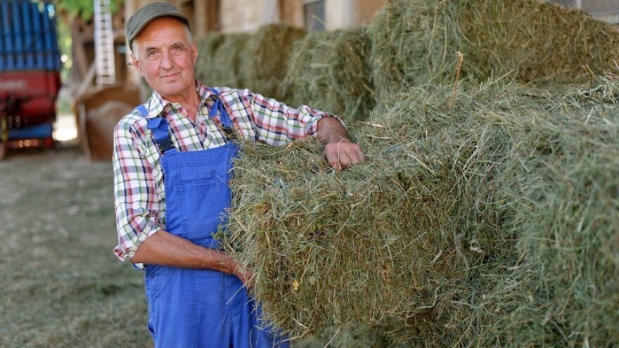 Malim proizvođačima bespovratno do 15.000 eura