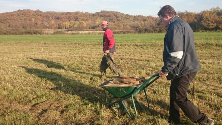 Mladi poljoprivrednici - kako do potpore?