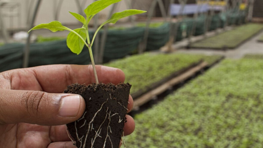 Obavijest za korisnike podmjera 4.1. i 4.2.