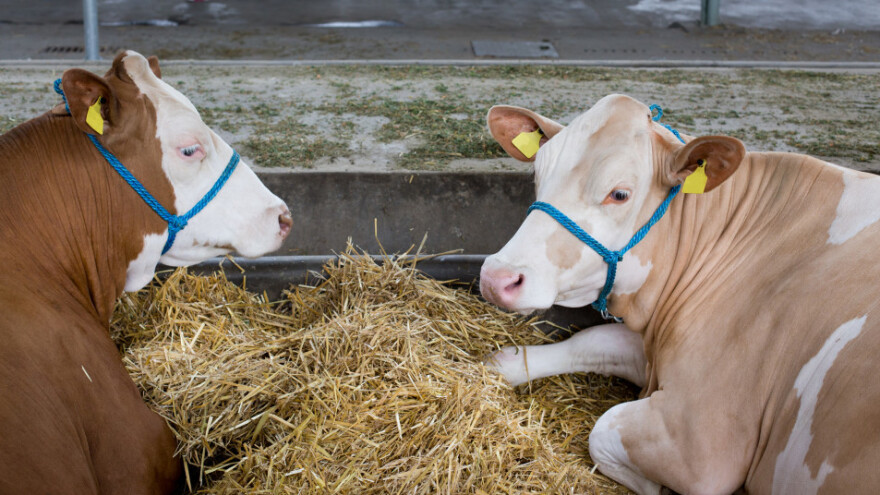 Produžen rok za podnošenje zahtjeva za isplatu