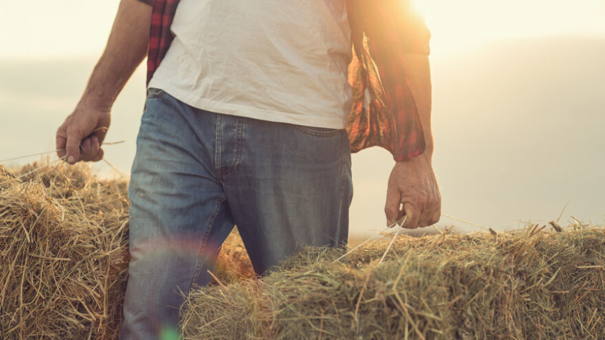 APPRRR započela s izdavanjem odluka za operaciju 5.2.1.